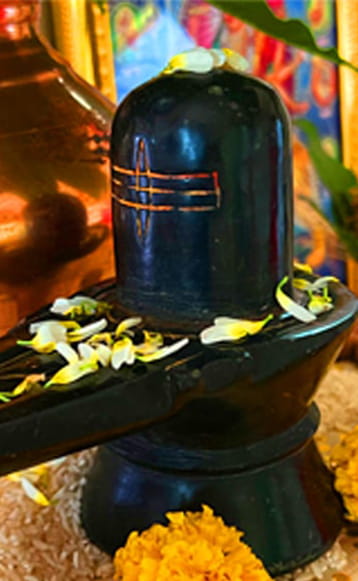 rudra abhishek puja