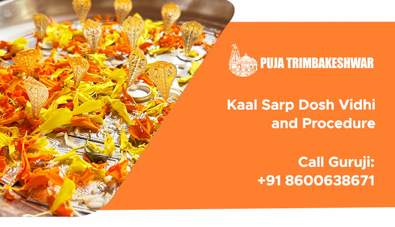 Kaal Sarp Dosh Vidhi and Procedure