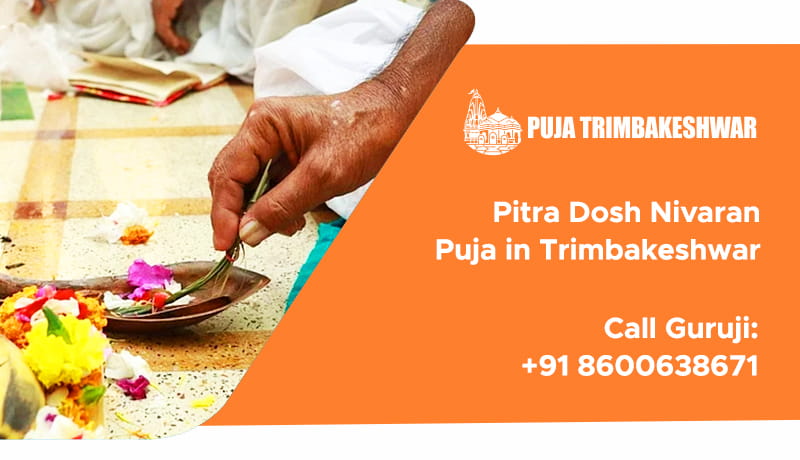 Pitra Dosh Nivaran Puja in Trimbakeshwar
