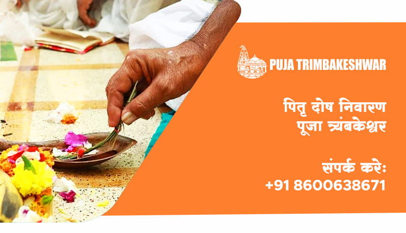 पितृ दोष निवारण पूजा त्र्यंबकेश्वर