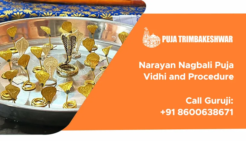 Narayan Nagbali Puja Vidhi And Procedure