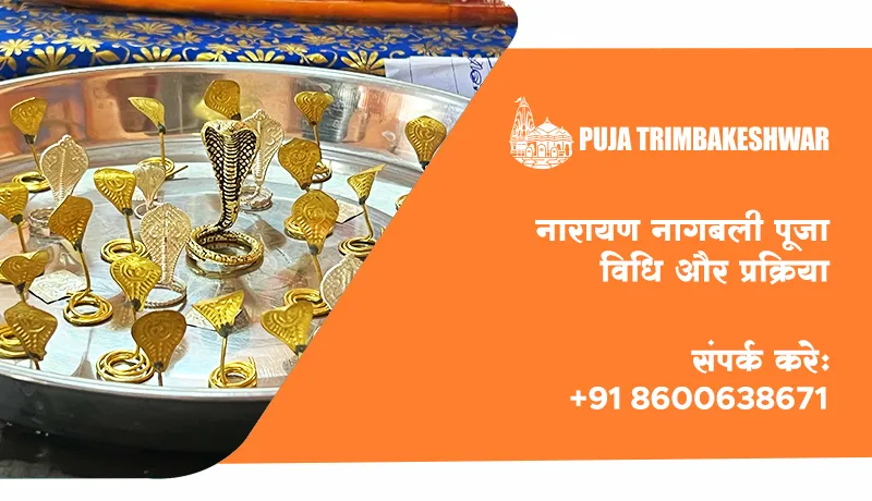नारायण नागबली पूजा विधि और प्रक्रिया